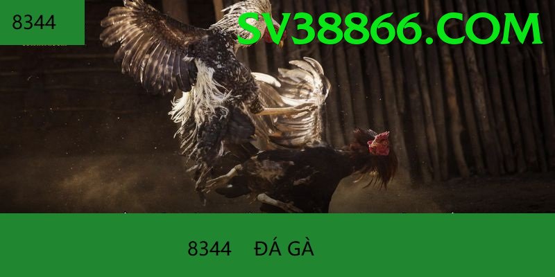 Đá Gà Trực Tiếp - Trải nghiệm tuyệt vời - Thế giới ảo