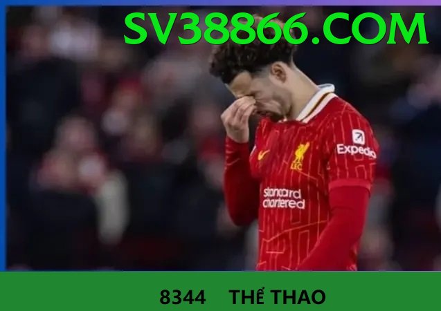 Cá Cược Thể Thao - Ưu đãi đặc biệt - Bảo mật